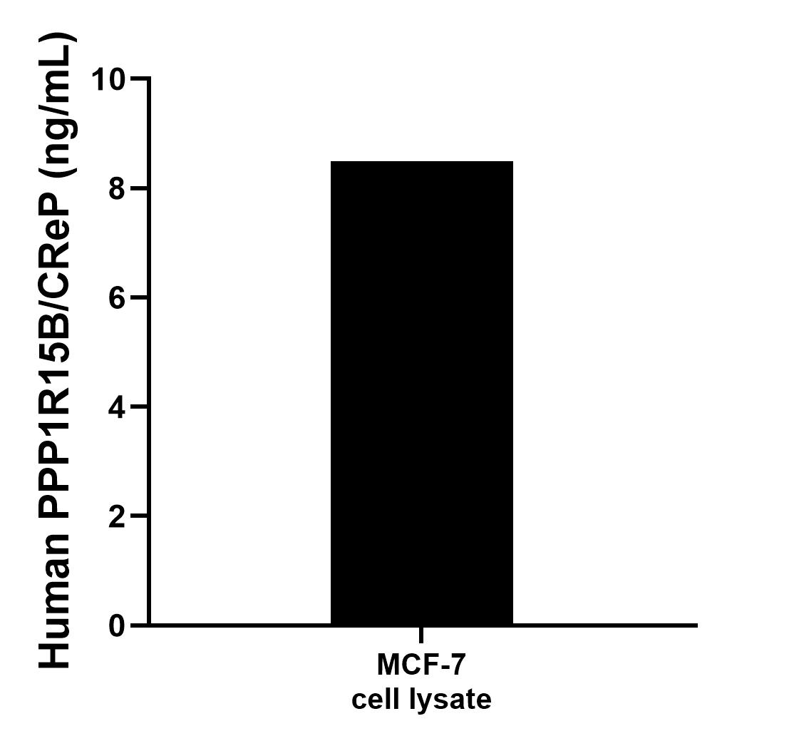 Sample test of MP00002-2